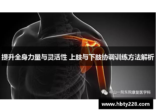 提升全身力量与灵活性 上肢与下肢协调训练方法解析